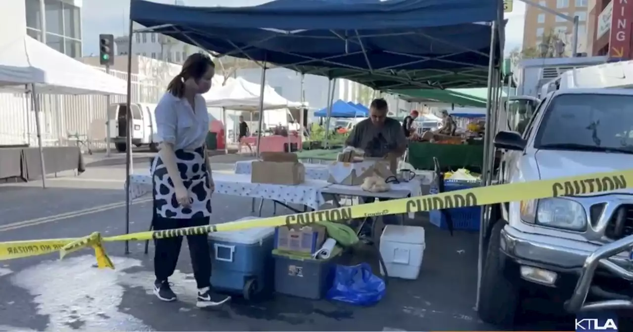 Suspect who allegedly fired shots near Hollywood Farmers Market taken into custody