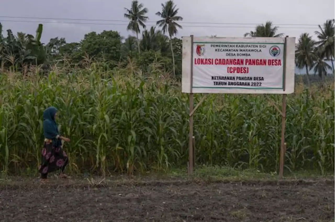 Inflasi Pangan Melonjak, Pemerintah Jaga Permintaan dan Suplai