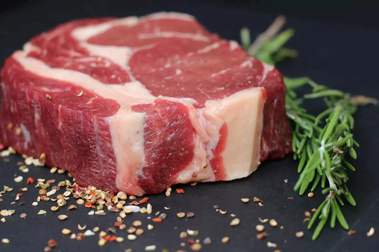 Research links red meat intake, gut microbiome, and cardiovascular disease in older adults