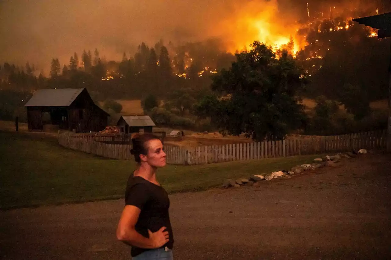 “It’s just decimated”: McKinney Fire explodes along California-Oregon border into state’s largest fire of 2022