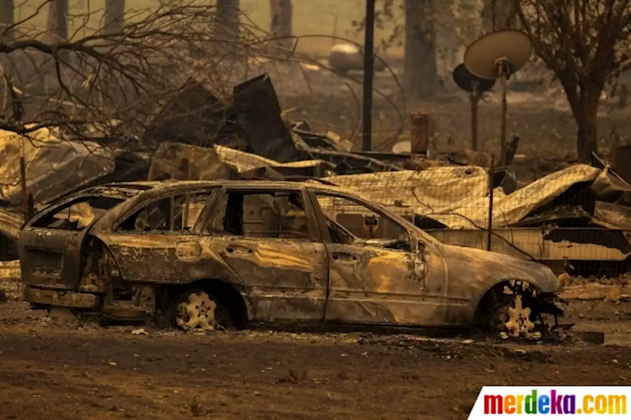 Foto : Sisa-Sisa Kebakaran Hutan Terbesar di California | merdeka.com