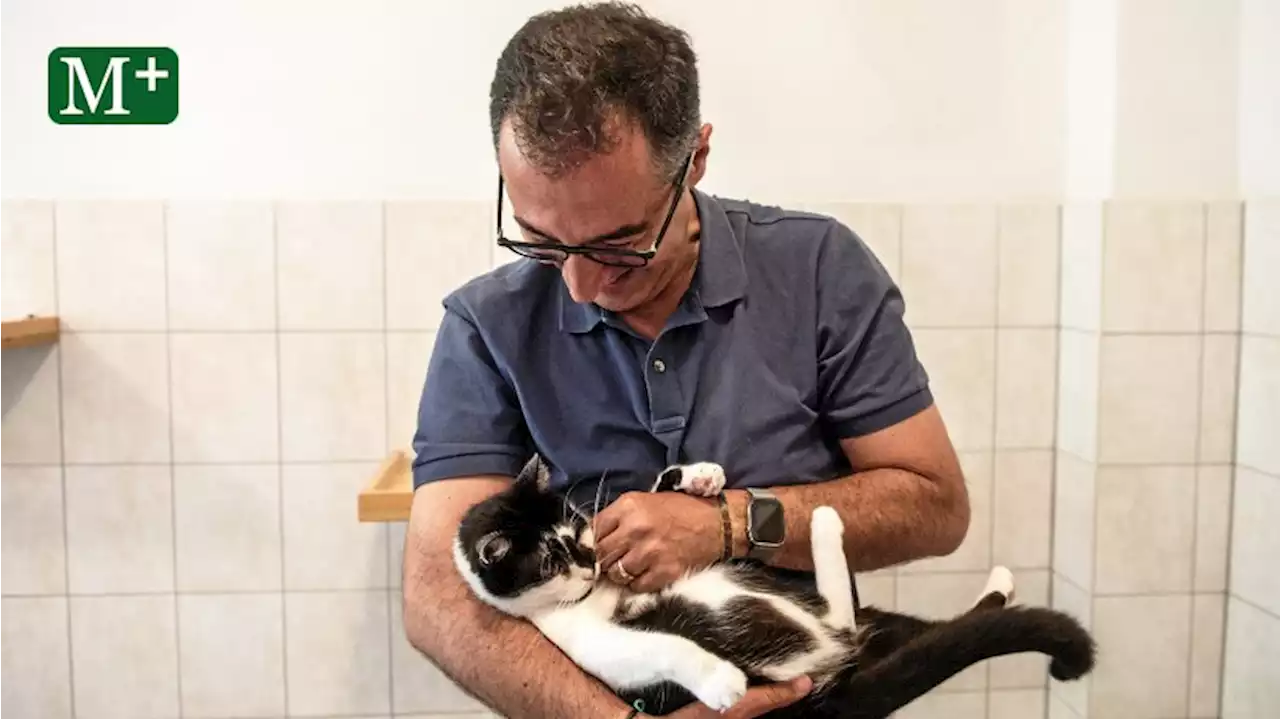 Cem Özdemir will Hunden und Katzen helfen