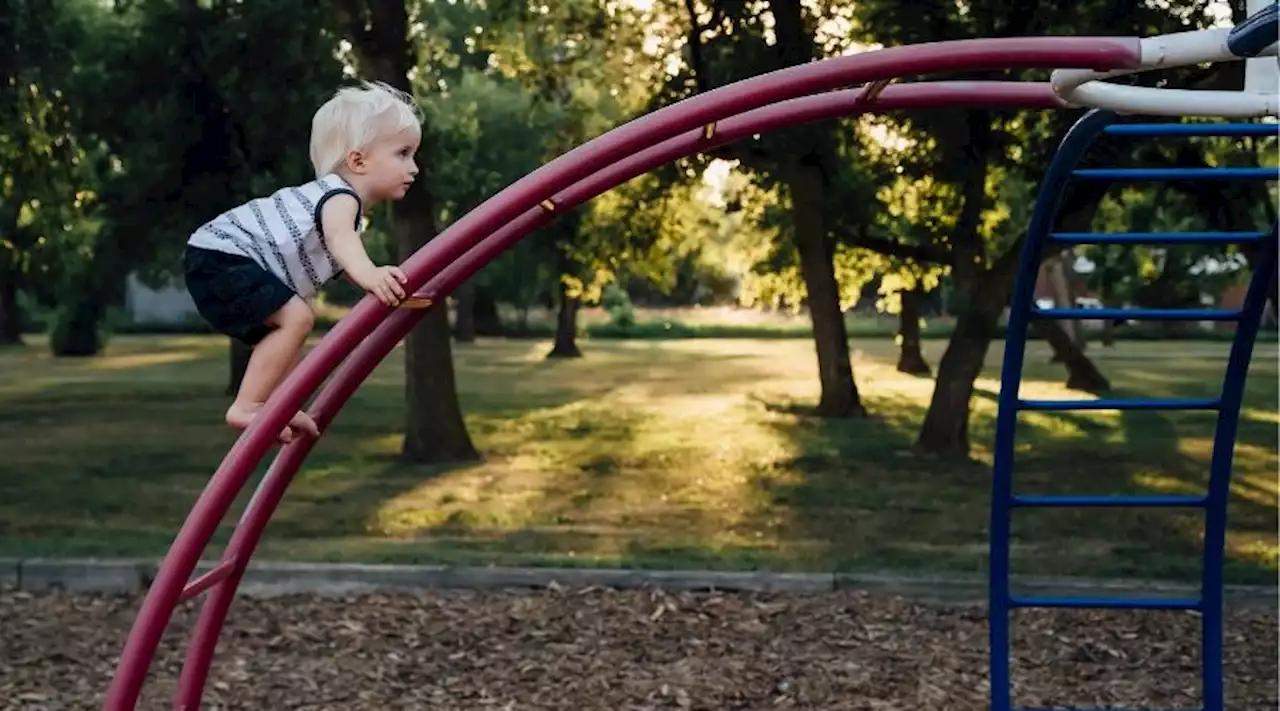 The best toddler climbing frame for little explorers