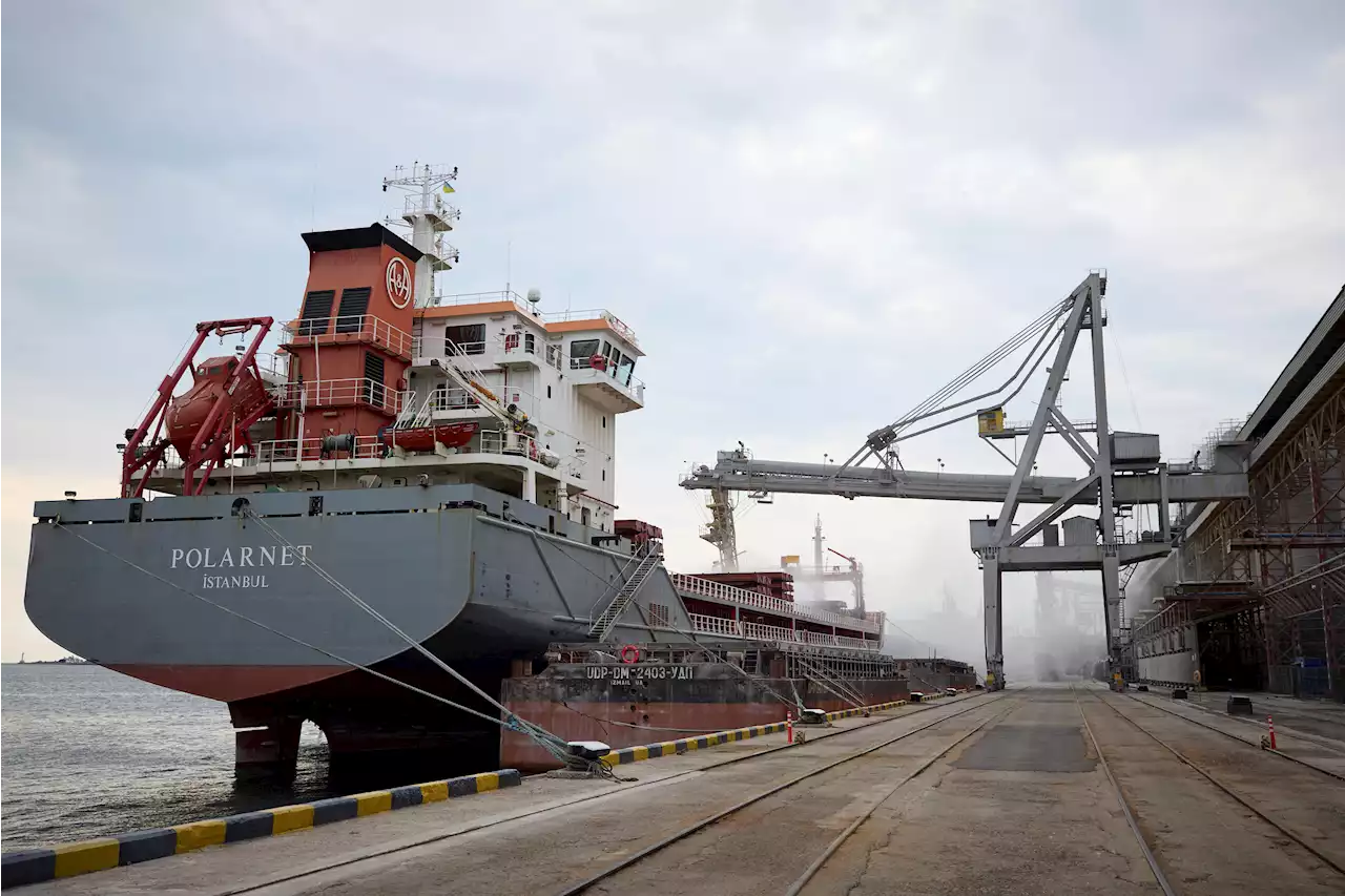 1st Ship Carrying Ukrainian Grain Leaves the Port of Odesa