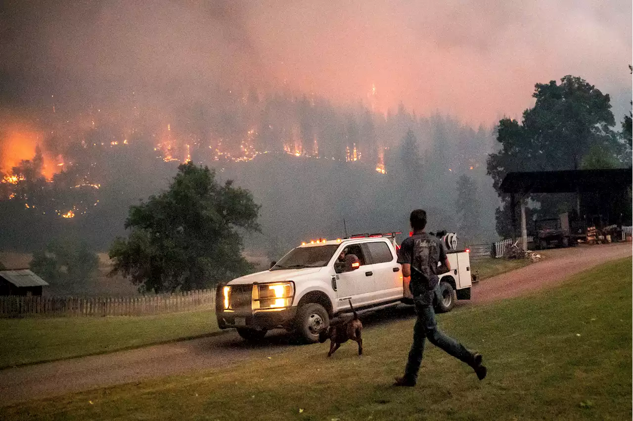 Largest California Wildfire This Year as Mckinney Fire Surpasses 50K Acres