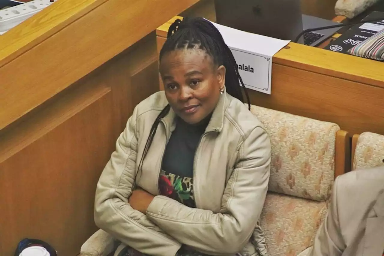 POLITICS THIS WEEK | Mkhwebane's impeachment hearing continues, govt to detail energy security plans | News24