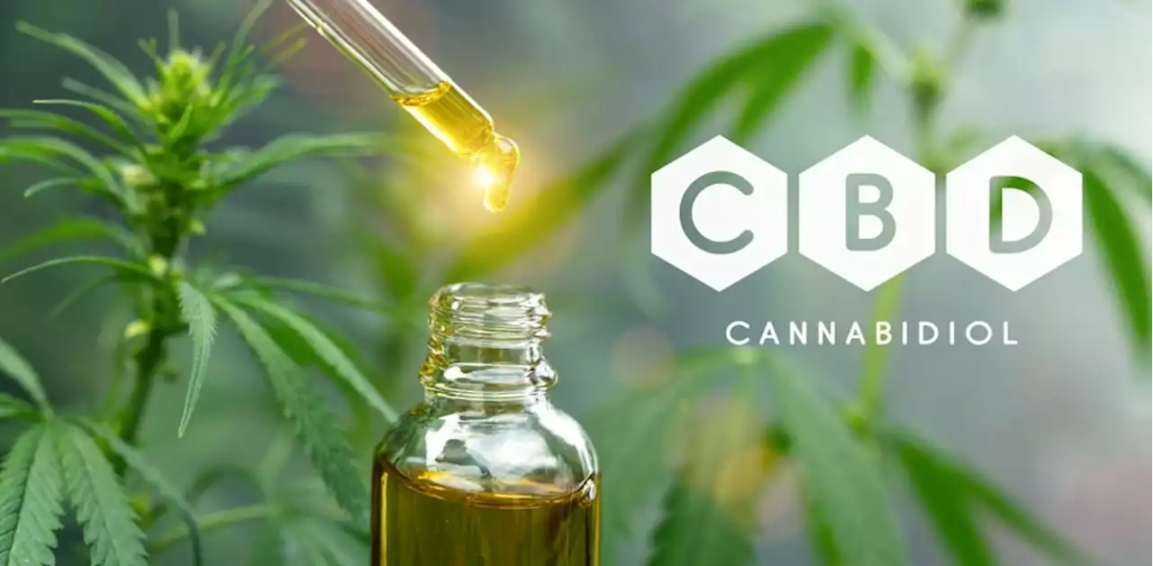 Is cannabidiol effective against COVID-19?