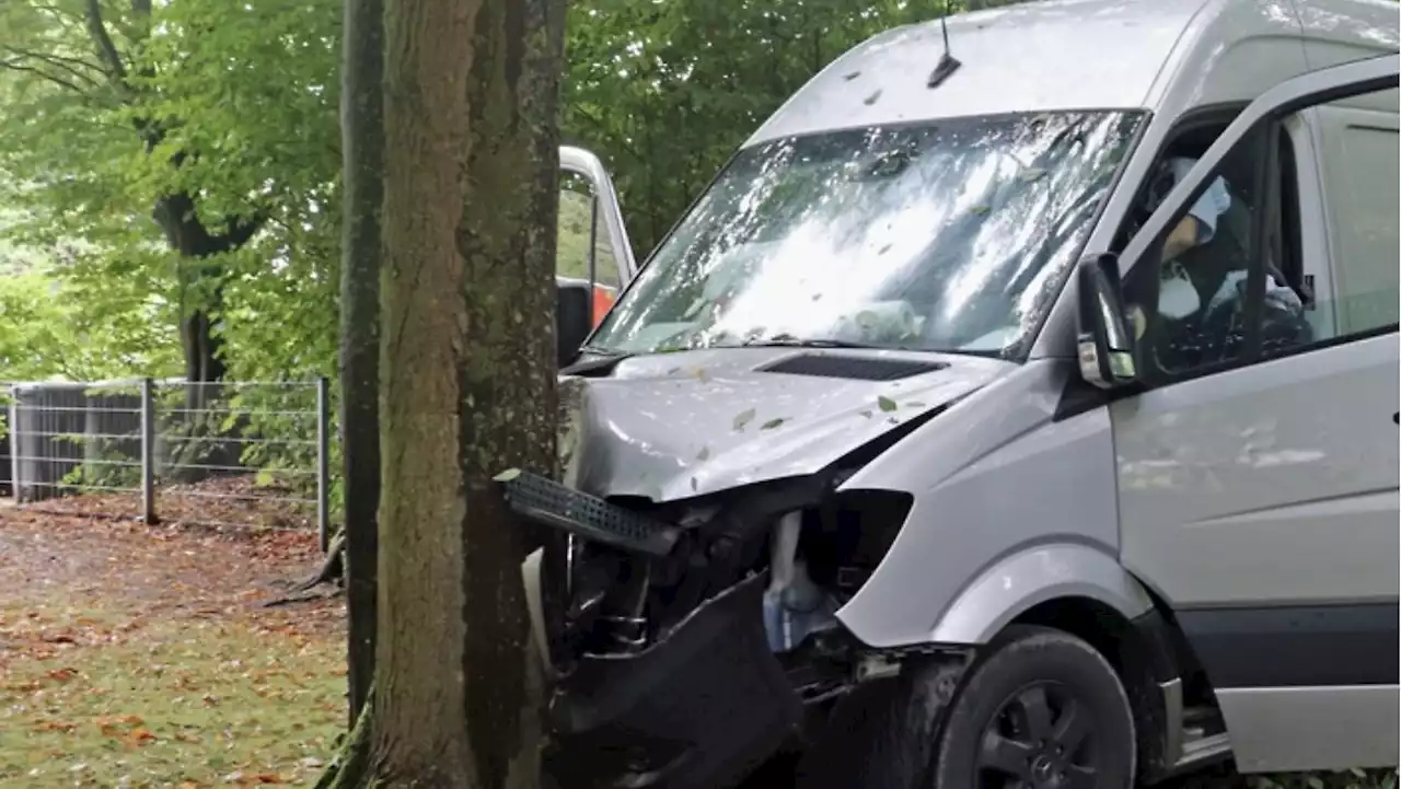 Transporter prallt auf Kita-Gelände in NRW gegen Baum