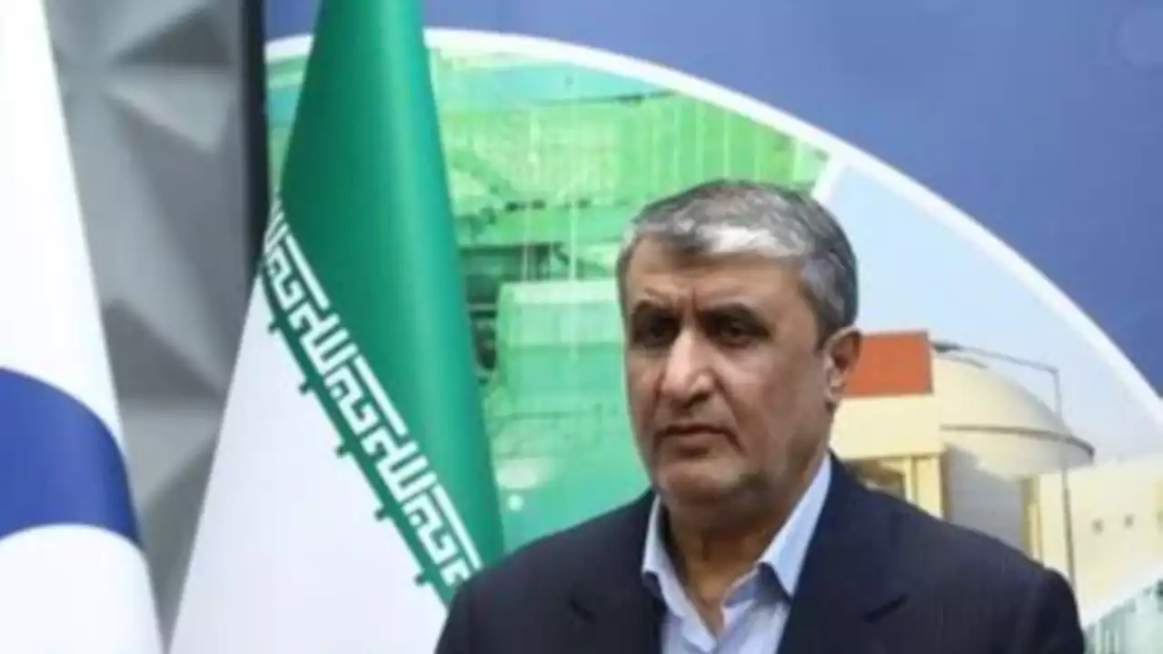 قوت گرفتن احتمال آغاز مذاکرات برجام؛ محمد اسلامی: توان ساخت بمب اتم را داریم