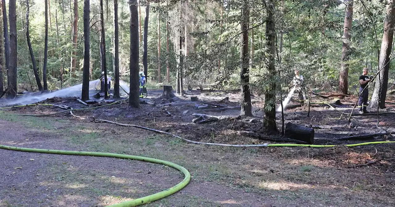 Rechtzeitig gelöscht: Bei Holz brannten 1000 Quadratmeter Wald – ein Feuerwehrmann verletzt (mit Bildergalerie)