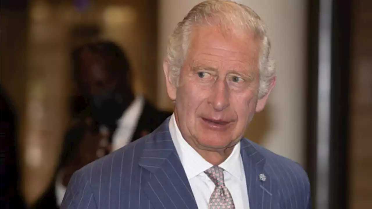 Report: Prince Charles received £1m from Osama Bin Laden's family | TheCable