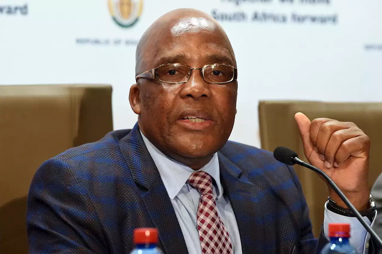 ANC 'green lights' Motsoaledi's proposed policy on SA's immigration system | The Citizen