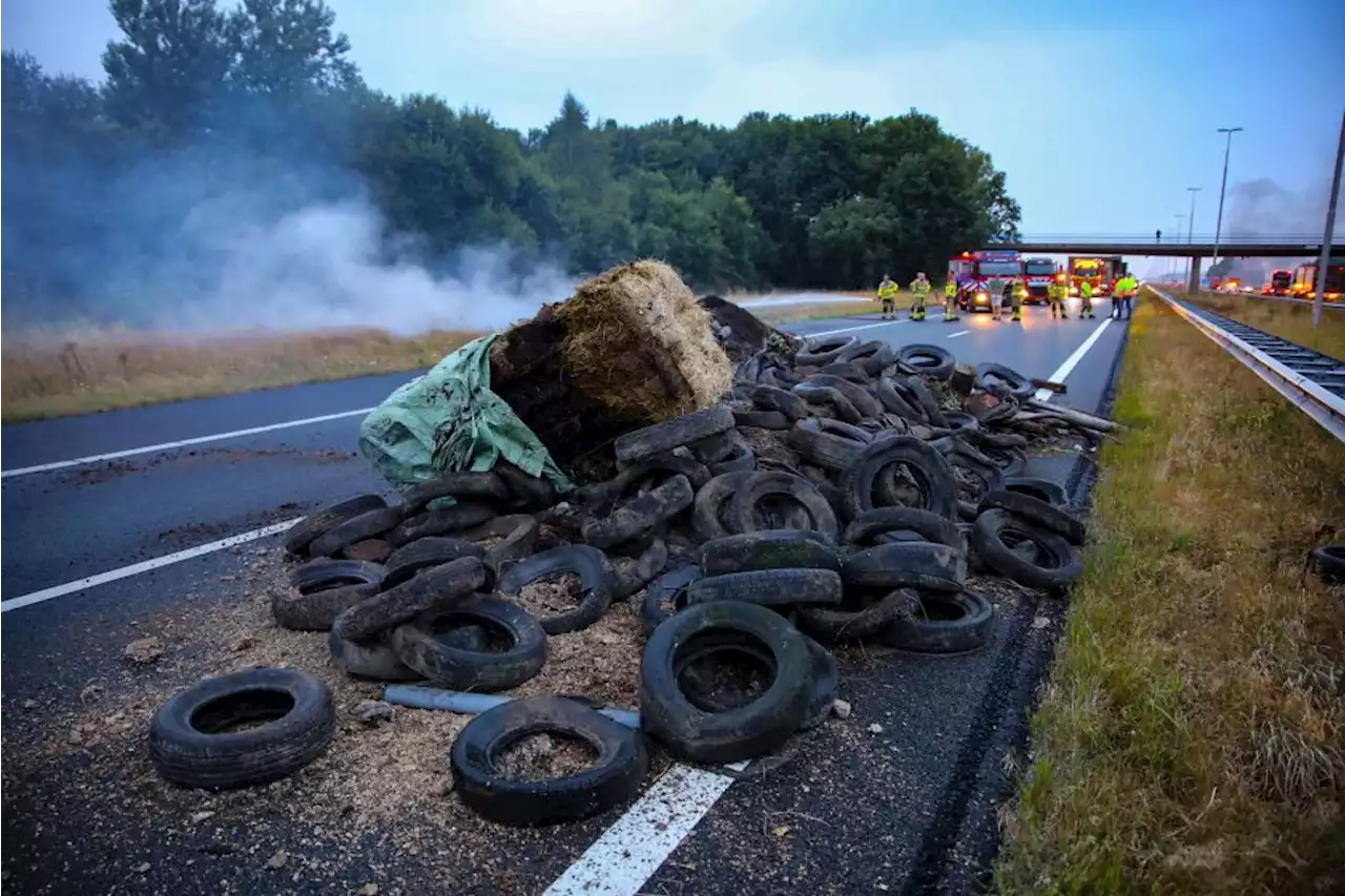 Dutch Farmer Protests Show How Messy the Climate Transition Will Be