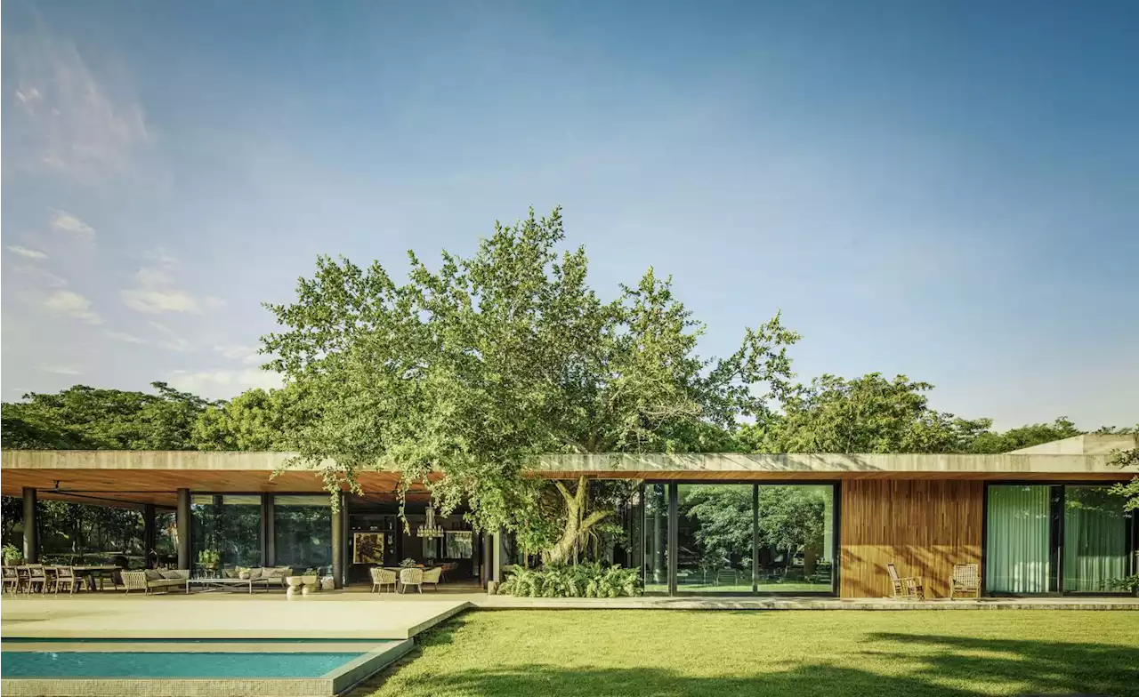 This Mérida house is designed to be taken over by nature