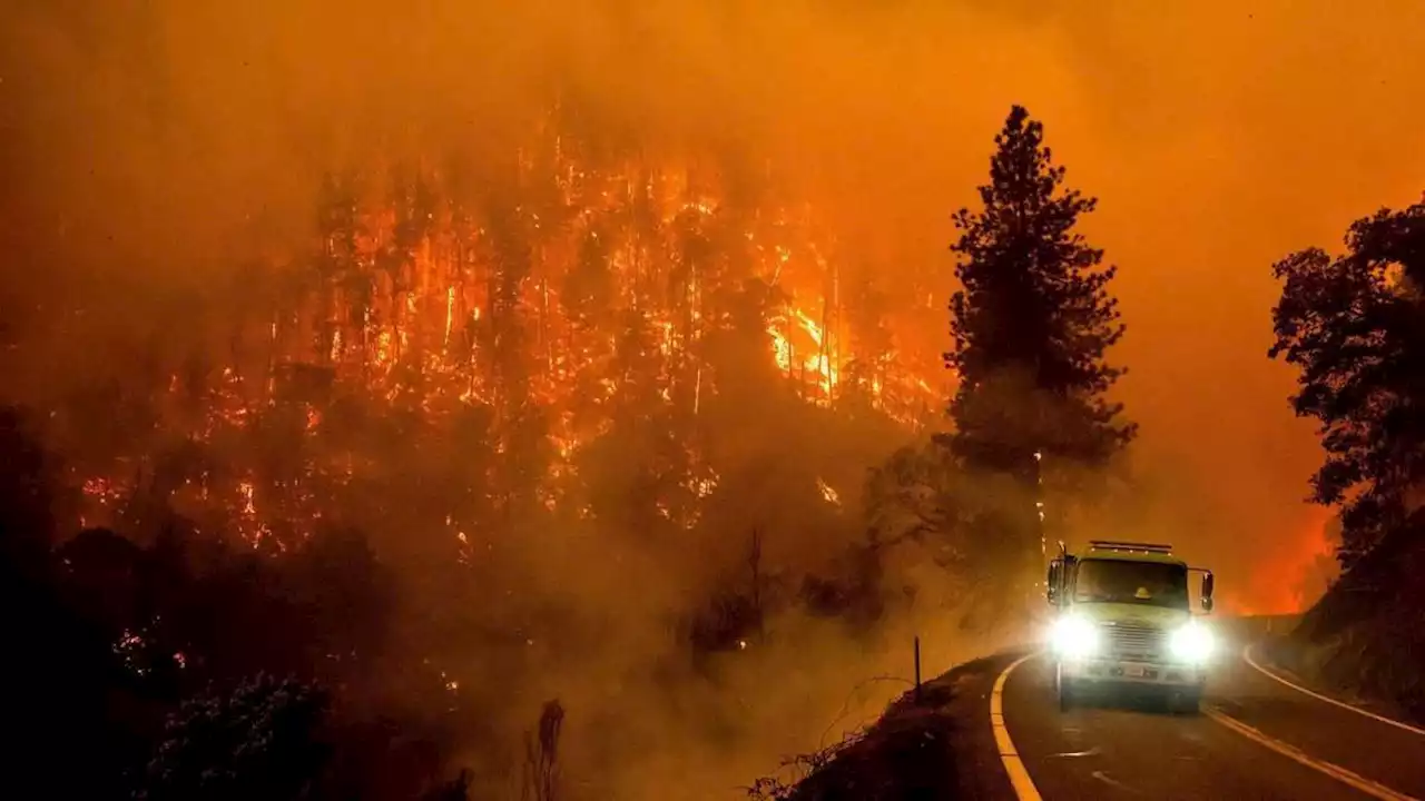 riesiges feuer in kalifornischem nationalforst