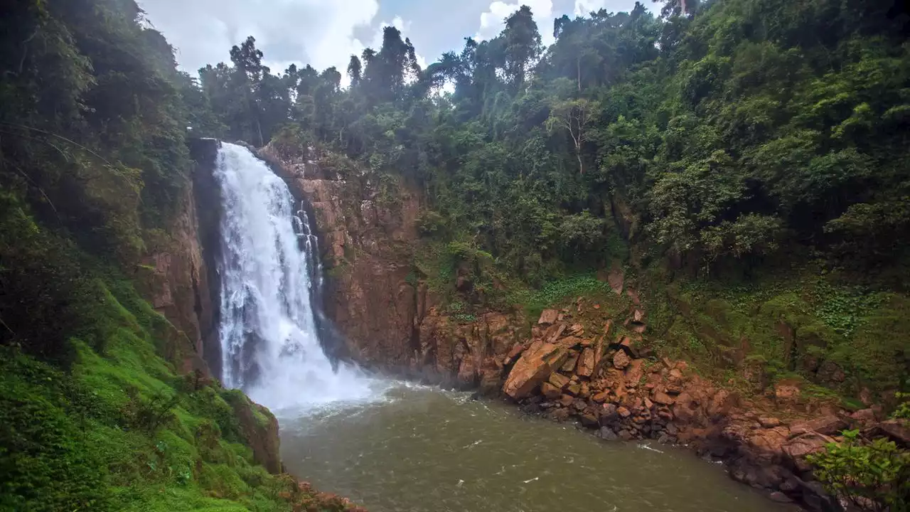 Tote Elefanten in Thailand: Wasserfall gesperrt