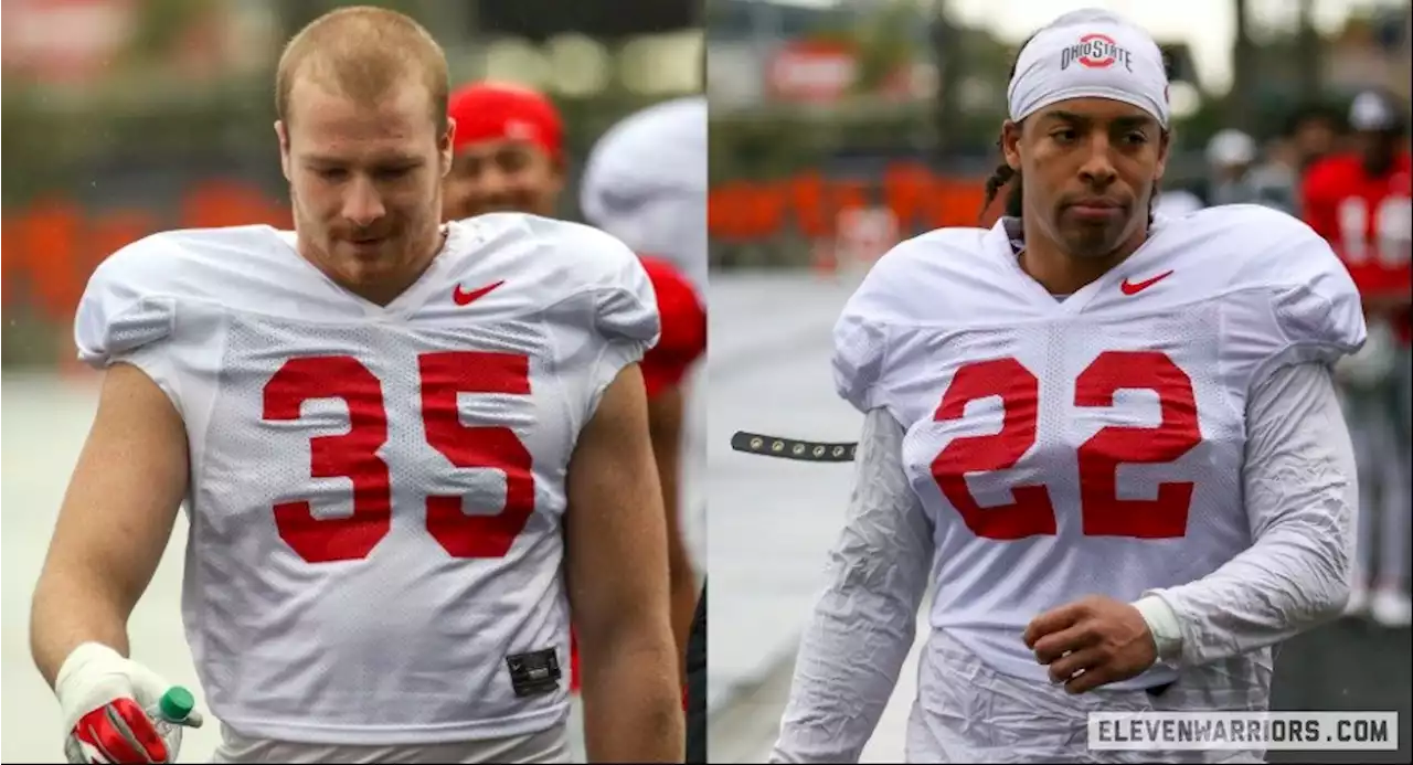 Tommy Eichenberg and Steele Chambers “Solidifying” Themselves As Ohio State’s Top Two Linebackers