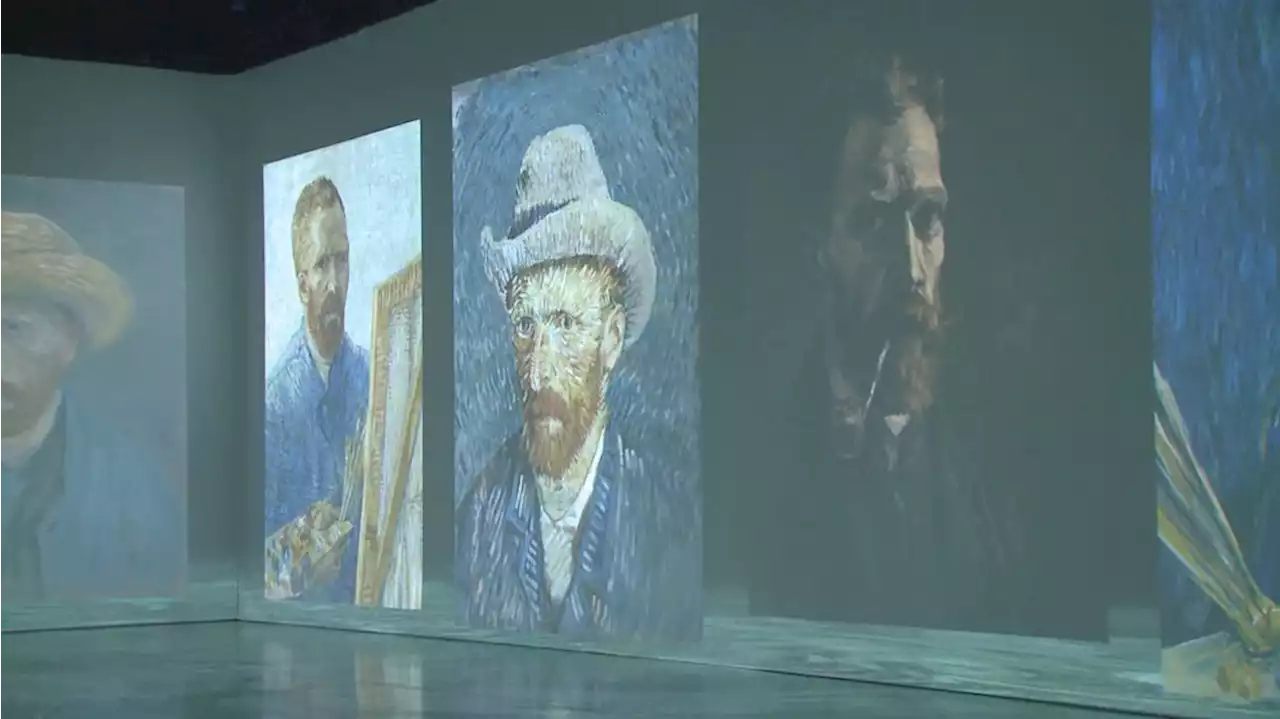 ‘Beyond Van Gogh: The Immersive Experience’ opens in Anchorage