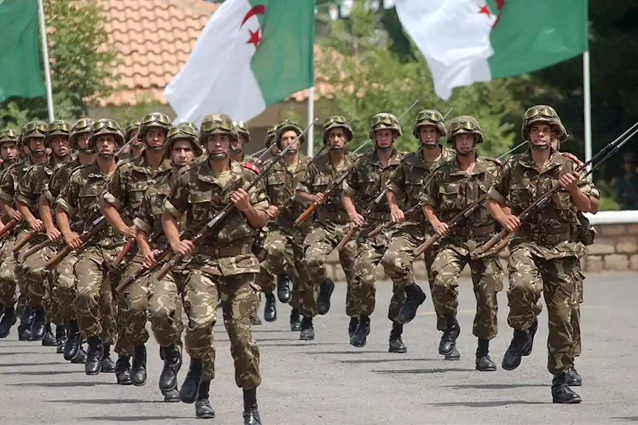 الجزائر تستضيف لأول مرة تدريباً مشتركاً مع روسيا