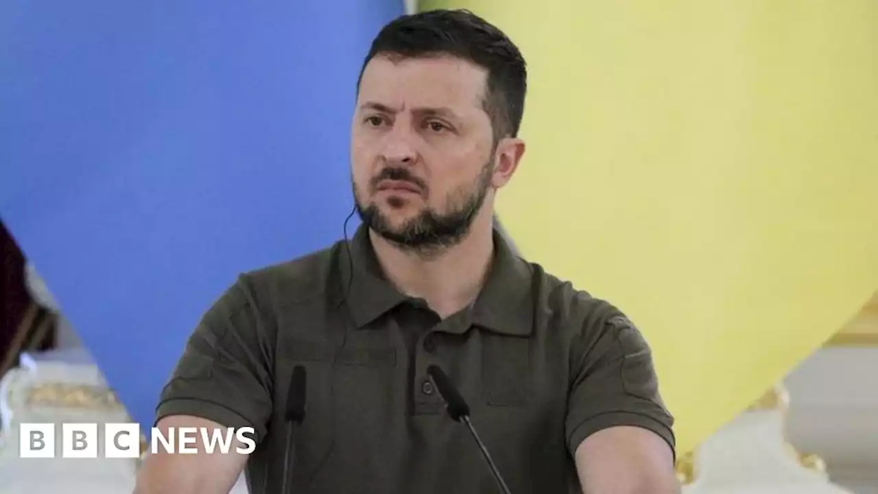 Ukraine war must end with liberation of Crimea – Zelensky