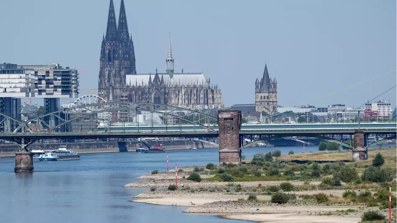 Rhine River could fall below critical mark, risking industry