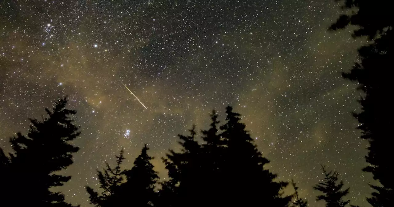 Perseids meteor shower peak expected to be muted this week