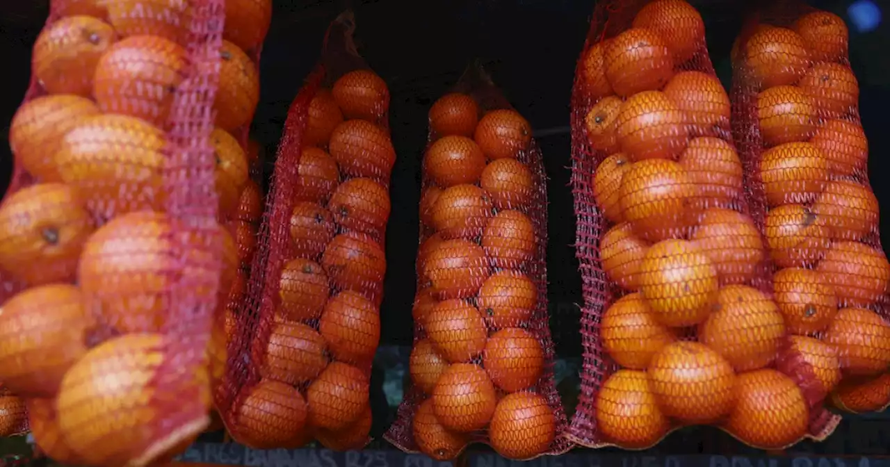 Some SA citrus allowed into EU countries