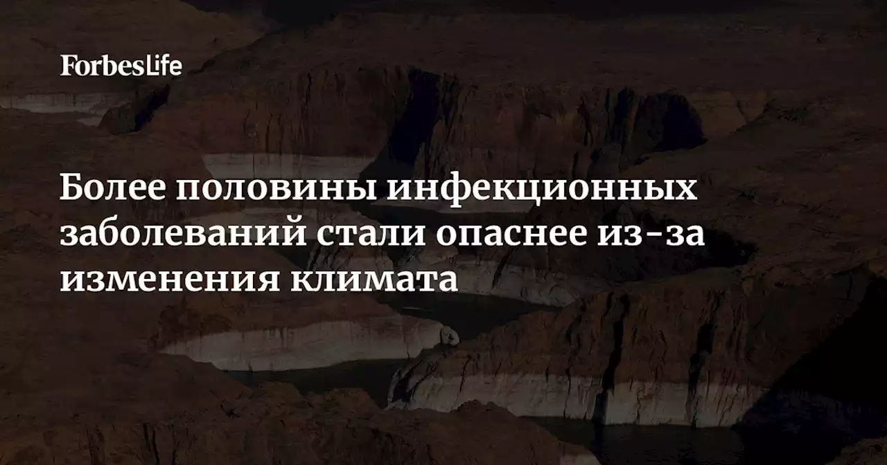 Более половины инфекционных заболеваний стали опаснее из-за изменения климата