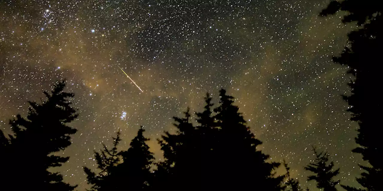 Come vedere meglio le stelle cadenti a San Lorenzo - Il Post