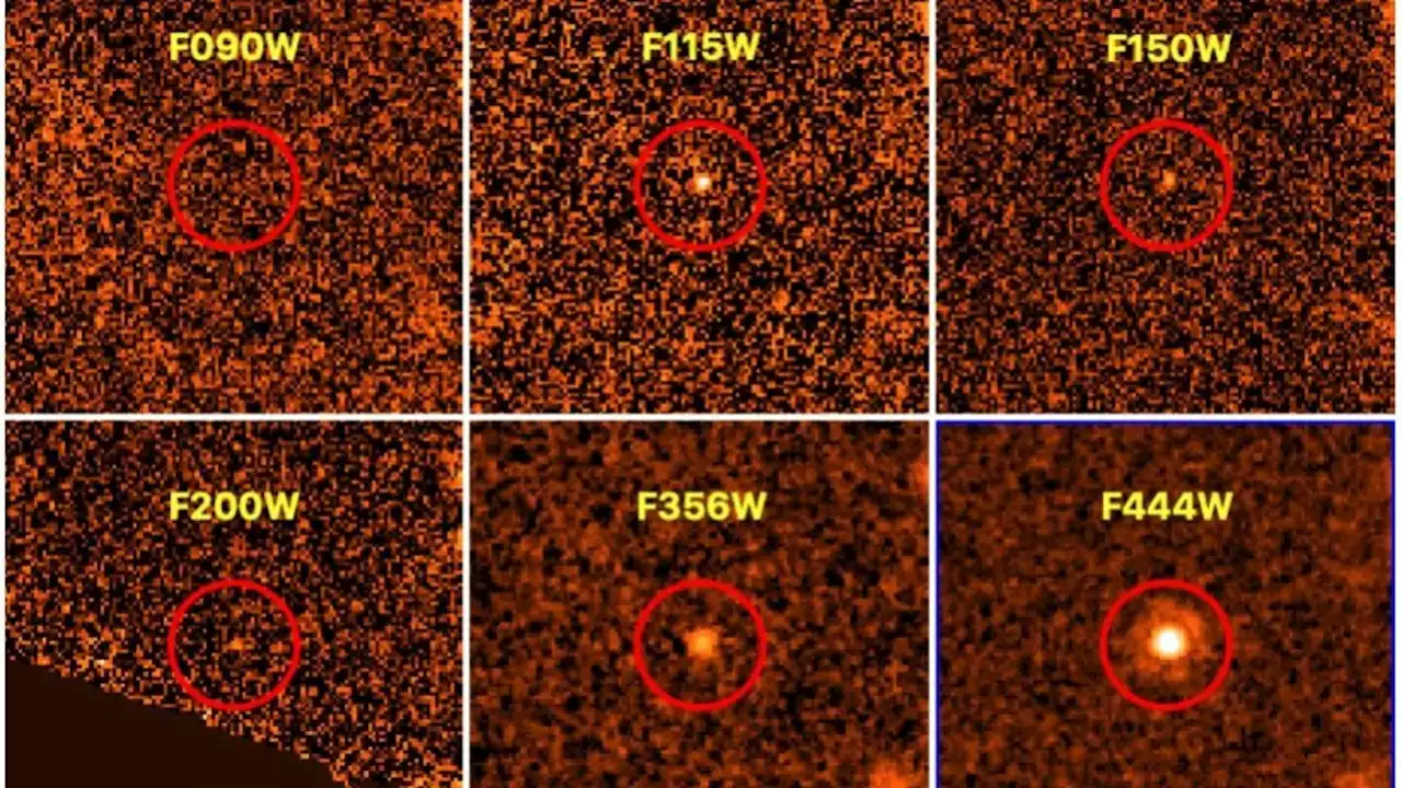 New brown dwarf discovered from James Webb early release data