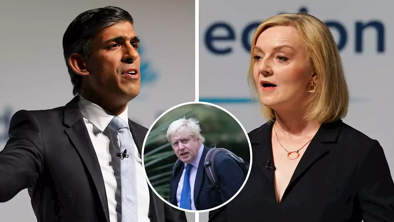 Sunak insists Boris is 'responsible for his own downfall' denying he 'wielded the dagger'