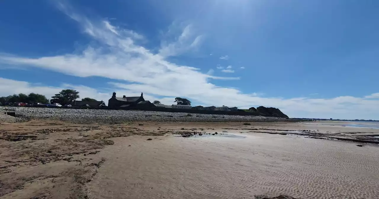 Secluded campsite hidden down dirt track with zoo and beach views