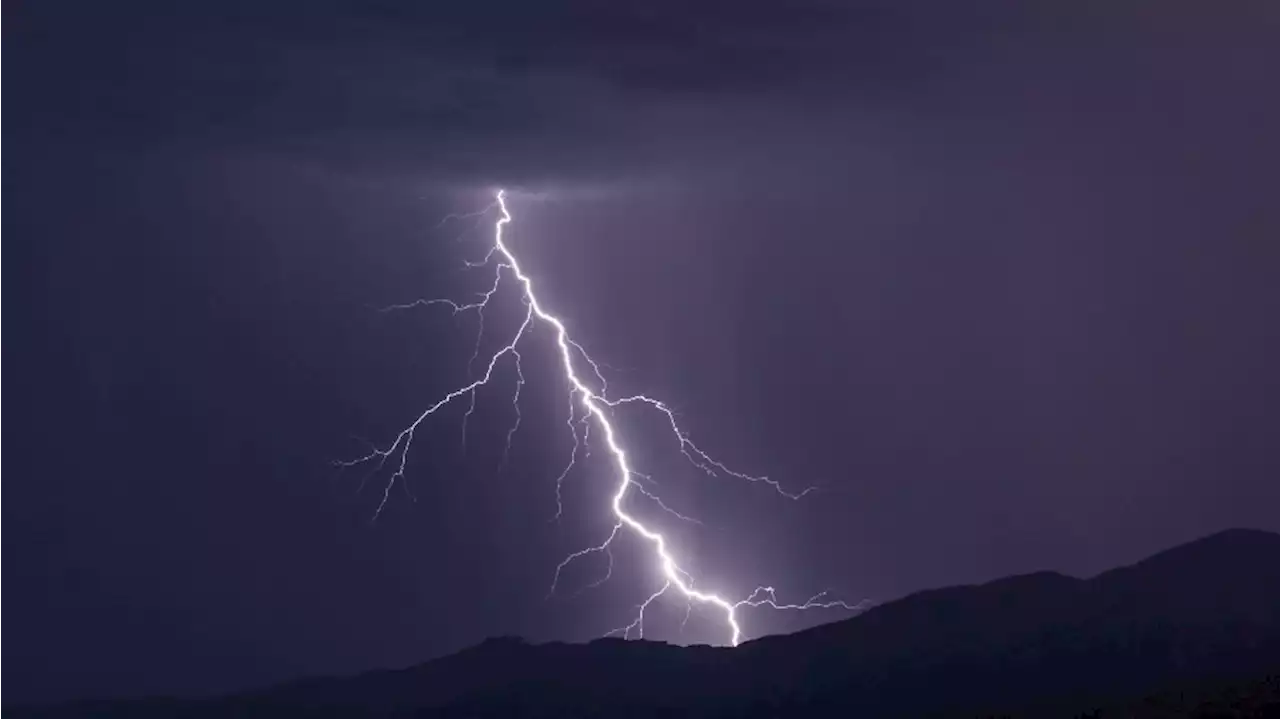 Red flag warning issued for Western WA as thunderstorms increase risk of wildfire