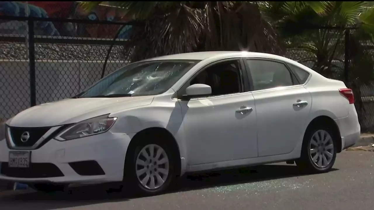 Woman Smashes Windows of 15 Parked Cars with Golf Club