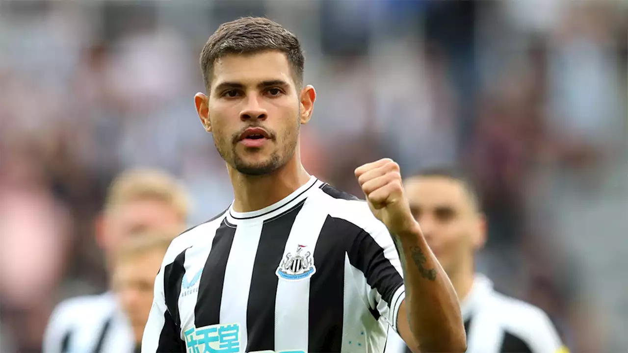 Three sets of Premier League stats profile the jobs that five Newcastle United players performed