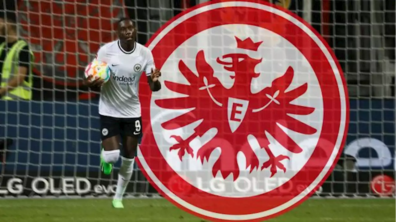 Bundesliga - Eintracht Frankfurt: Randal Kolo Muani - ein Top-Talent ohne Star-Allüren