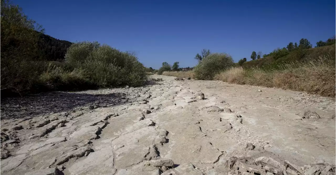 Tourist boats marooned, farm land parched as drought lowers Europe's rivers