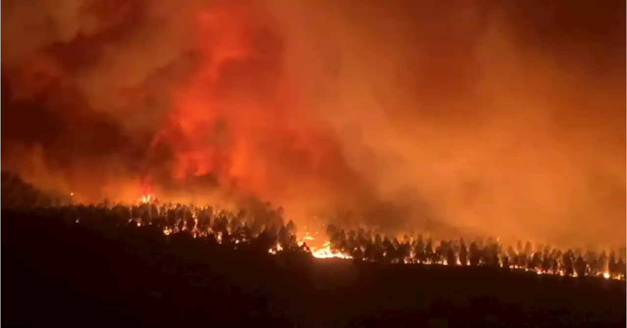 Wildfires rage in France, thousands evacuated from homes