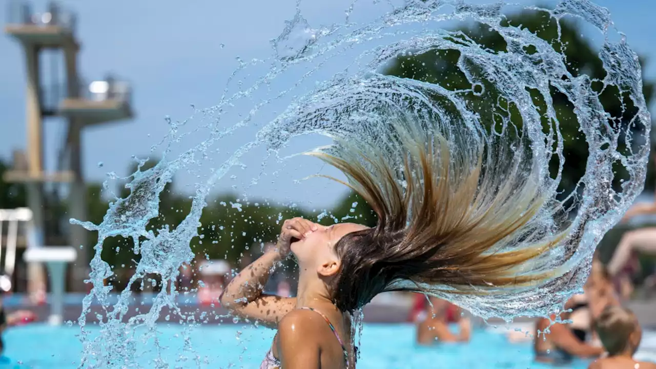 Sommerferien: Warum sie immer zu kurz sind