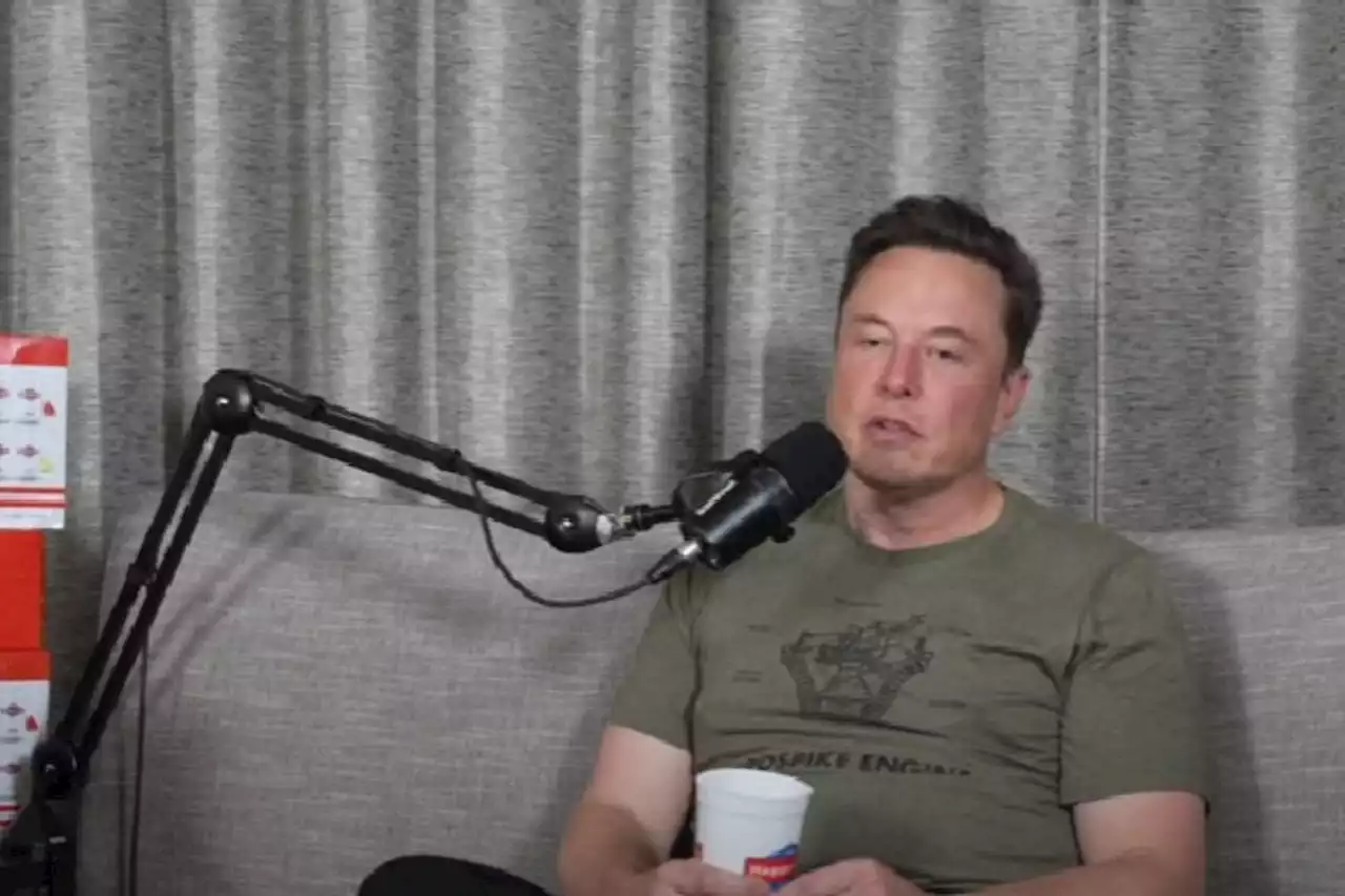 WATCH: 'South Africa is a very violent place,' - Elon Musk | The Citizen