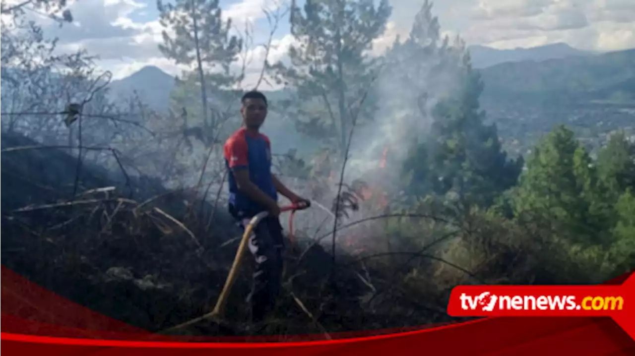 16 Hektare Lahan Kosong di Aceh Tengah Hangus Terbakar