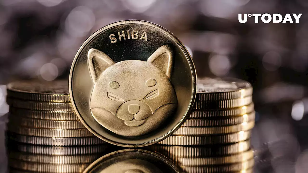 Shiba Inu: Mysterious 'Buying' Activity Spotted, Here's What Happened