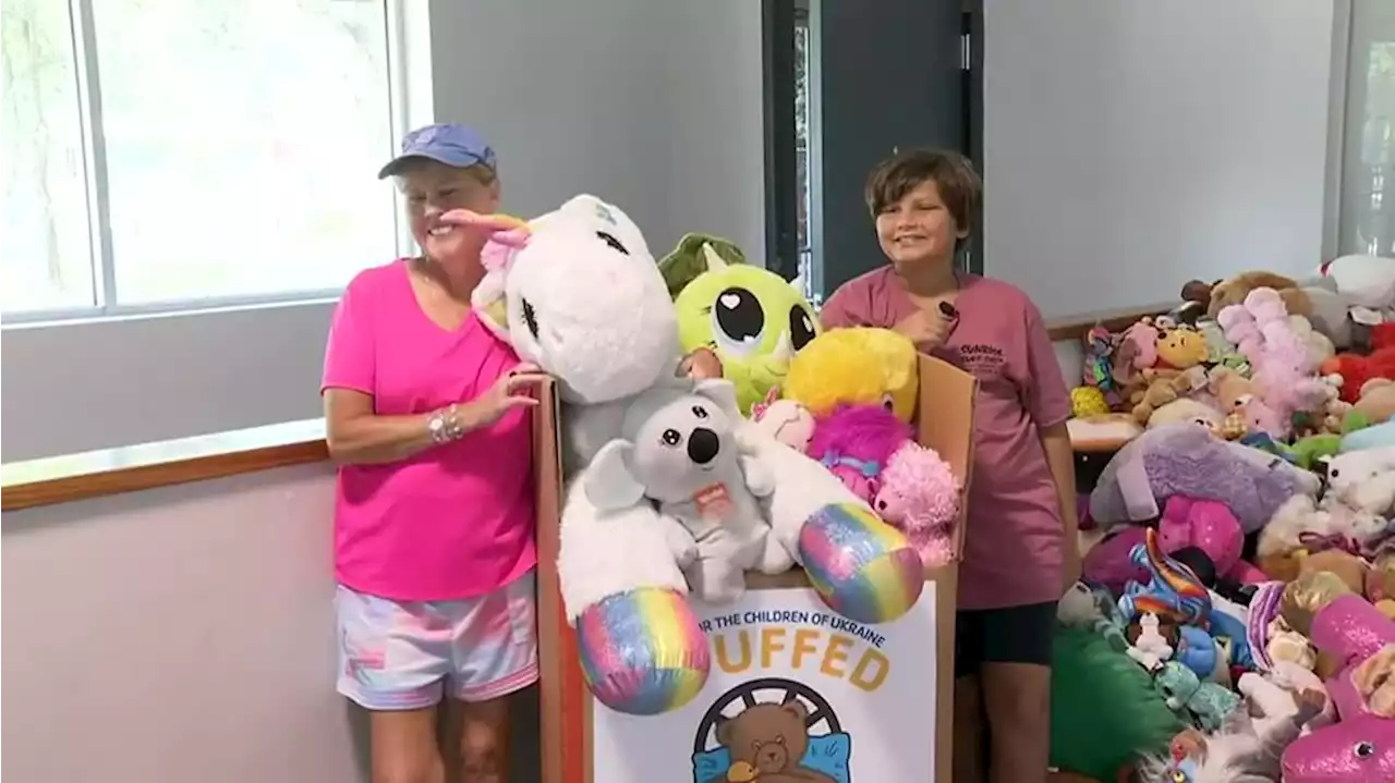 11-year-old boy collects nearly 6,000 stuffed toys for Ukrainian children