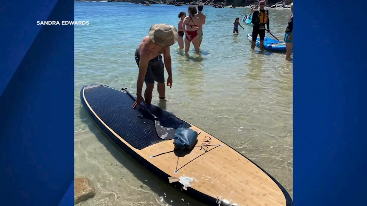 Paddleboarder, dog safe after shark encounter off Pacific Grove beach; 2nd attack this summer