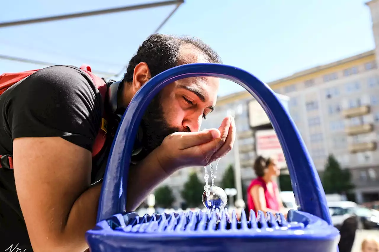 London hat 4000 Wasserspender, Berlin nur 196: Wie kann das sein?