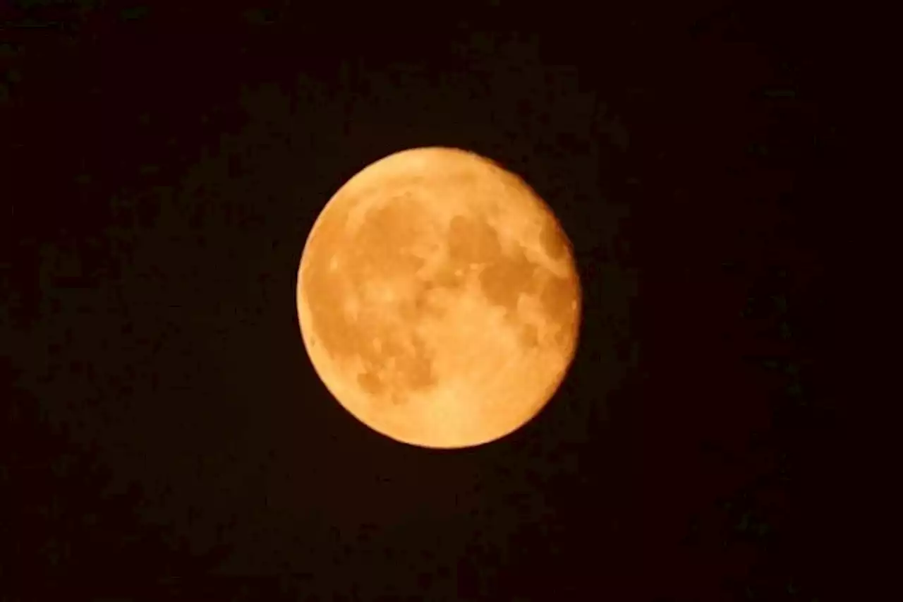 Puncak Hujan Meteor Perseid dan Supermoon Bakal Terjadi Bersamaan Malam Ini