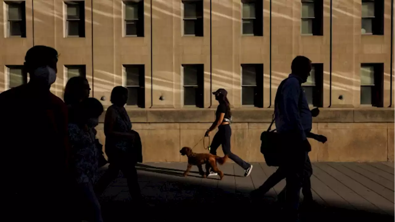 Power out in Toronto's financial district - BNN Bloomberg