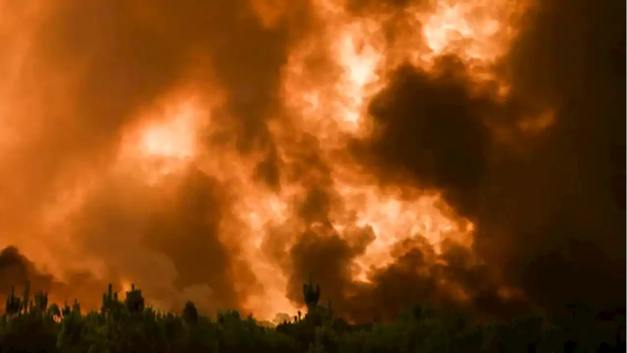 France's Gironde region sees further evacuations in latest forest-fire battle | CBC News