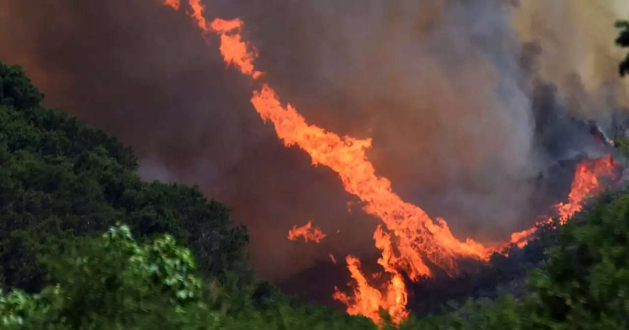 Video of California fire whirl terrifies and amazes