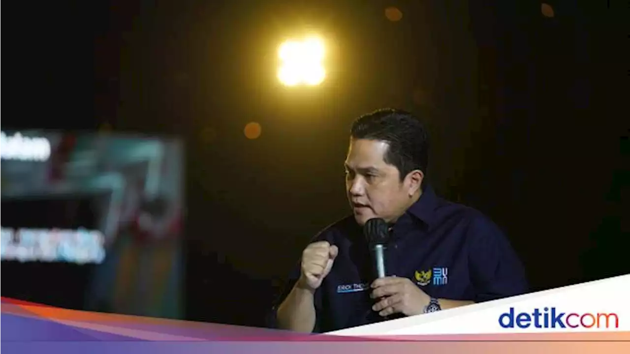 Erick Thohir: Garuda Sudah On Track, tapi Harus Tetap Dikawal